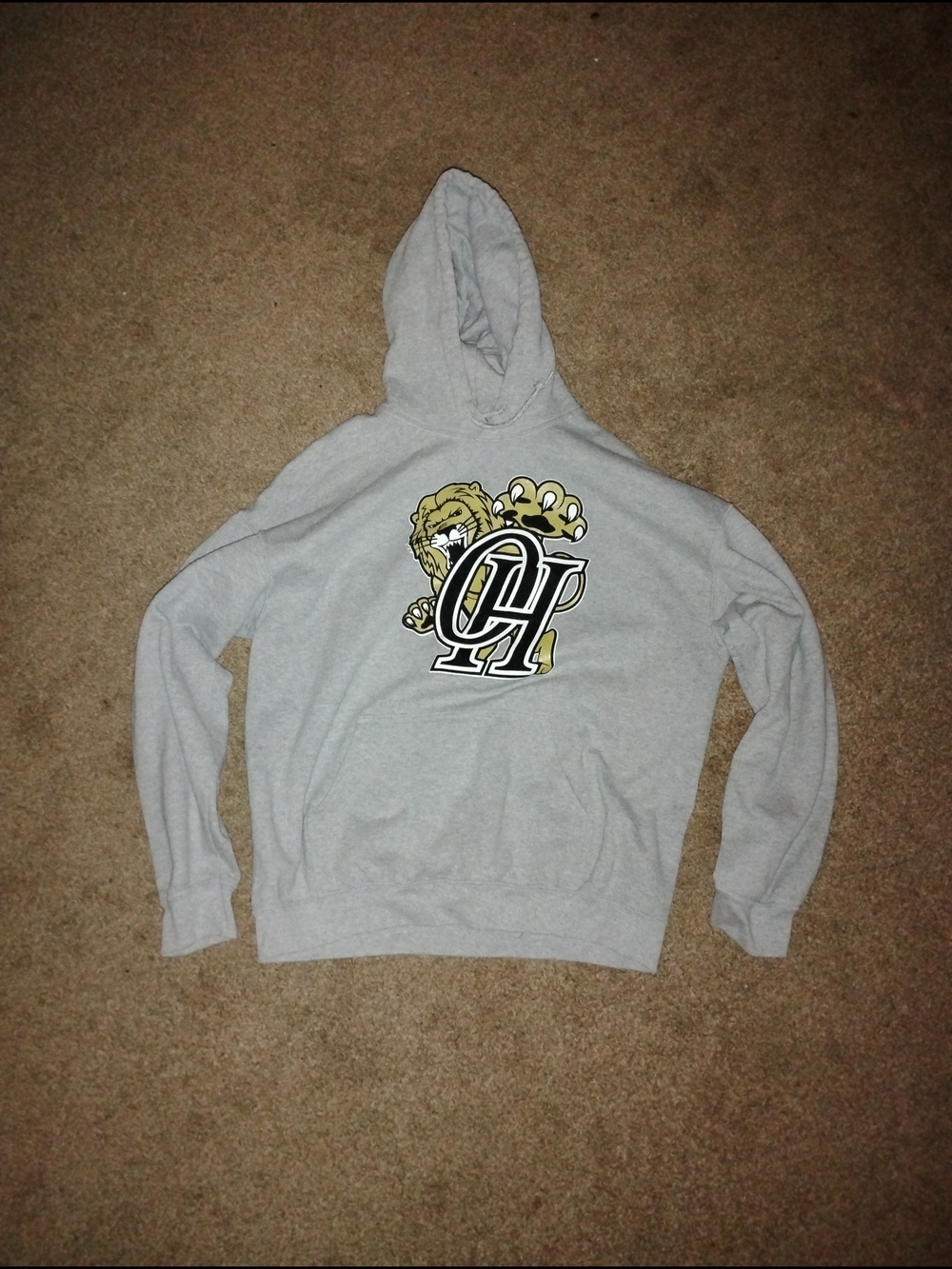 Y2k Vintage Gildan Gray Heavy Blend Pullover Hoodie with Graphic